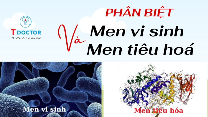 Phân biệt men vi sinh và men tiêu hoá  Phân biệt men vi sinh và men tiêu hoá