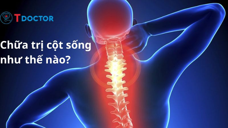 Cột sống người được tạo thành như thế nào? Cột sống người được tạo thành như thế nào?